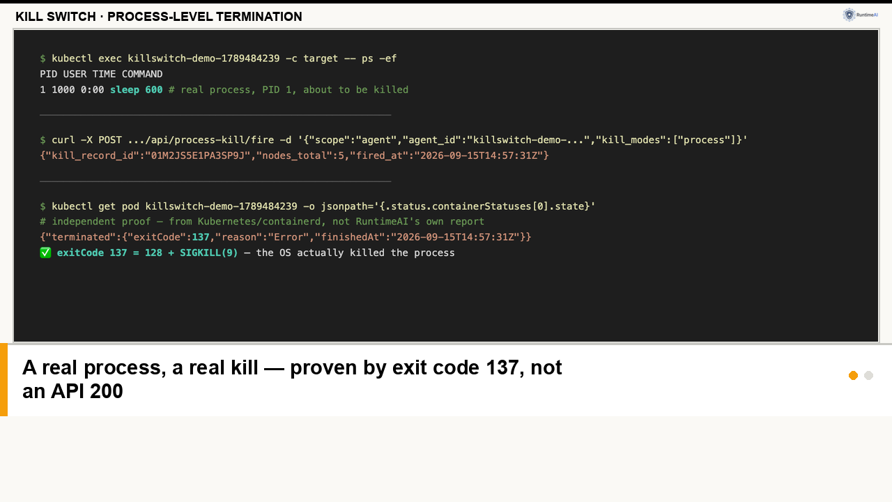 Process-Level Kill Switch